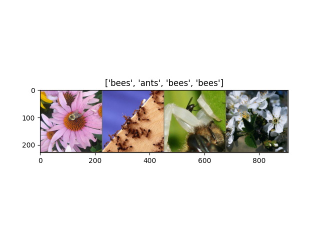 ['bees', 'ants', 'bees', 'bees']