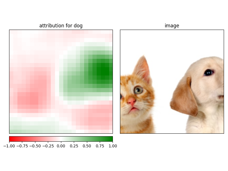 attribution for dog, image