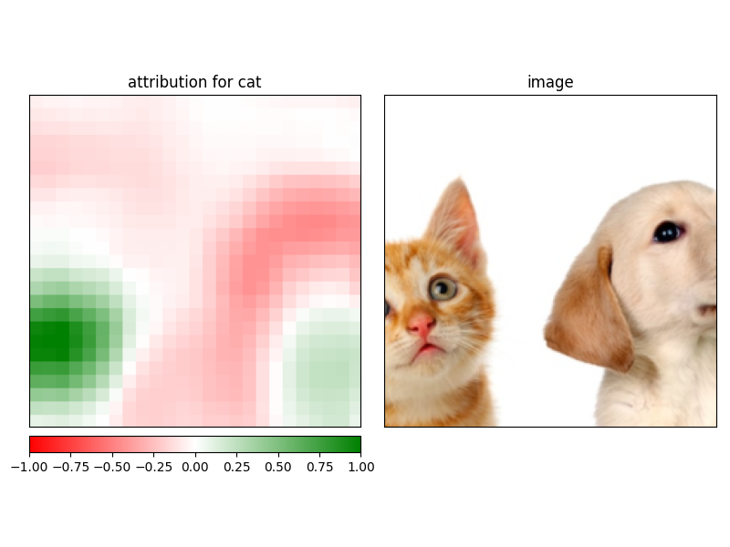 attribution for cat, image