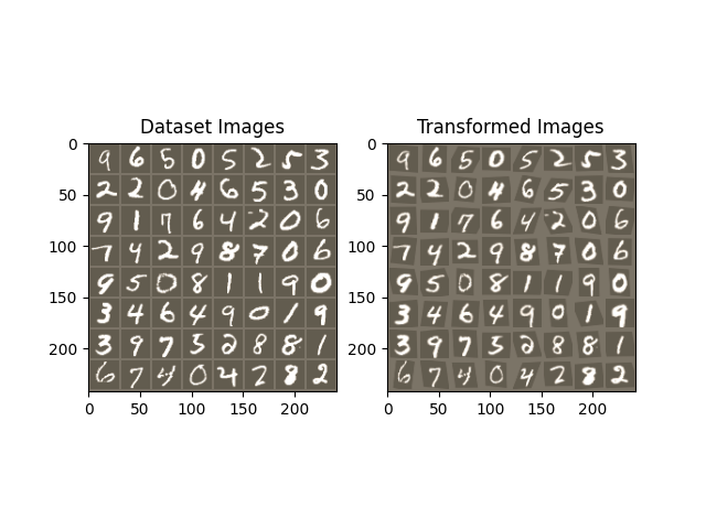 Dataset Images, Transformed Images